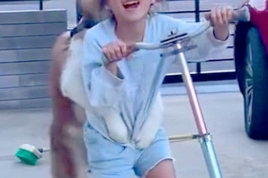 女の子が駐車場で『キックボード』に乗った結果→なぜか『大型犬』も一緒に…人間すぎる『まさかの光景』が114万再生「二足歩行してて草」