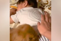 預かっていた『2歳の甥っ子』を連れて帰ろうとした結果→犬が『お別れしたくない』と訴えて…必死すぎる『抵抗』が22万再生「大好きなんだね」