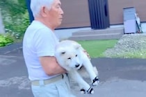 段差を下りるのが辛くなってきた『17歳の老犬』→おじいちゃんが心配して…頼りになりすぎる『素敵な光景』に感動「行動力凄い」「素晴らしい」