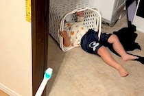 2歳の女の子が『絶対に歯みがきしない』と駄々をこねていたら、大型犬が…情報量が多すぎる『カオスな光景』が269万再生「全員可愛いｗｗ」