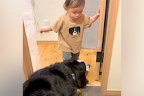 トイレについてきた大型犬と赤ちゃん→突然『謎の言葉』を喋った次の瞬間…まさかの『完全に従えている光景』が100万再生「通じ合ってて凄い」