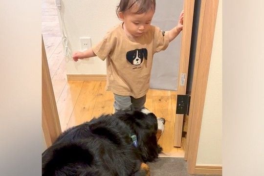 トイレについてきた大型犬と赤ちゃん→突然『謎の言葉』を喋った次の瞬間…まさかの『完全に従えている光景』が100万再生「通じ合ってて凄い」