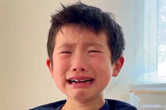 息子が『一生のお願いだから、犬を飼いたい』と号泣→飼い始めて4年後の現在…思わず感動する『成長記録』が255万再生「素敵」「愛溢れてる」