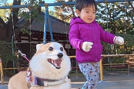 男の子が『犬と一緒に散歩に出かけた』結果→帰宅後…微笑ましすぎる『お出かけ後の差』に1万いいね集まる「連動してて可愛い」「疲れてるｗ」