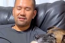 大嫌いな『雷』に怯えまくる元野犬→思った以上にブルブルと震えるので…まるで子供のような『愛おしい光景』が70万再生「全てが可愛い」
