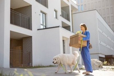 建物の外を歩く女性と犬