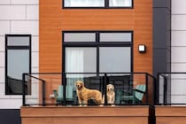 『ペット可のマンション』で犬を飼うときの注意点5つ　知っておくべきルールとは？