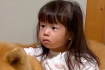 秋田犬をお迎えして、たったの4日後→娘が打ち解けすぎて…出会ったばかりと思えない『まさかの光景』が93万再生「馴染んでて草」「相棒感ｗ」