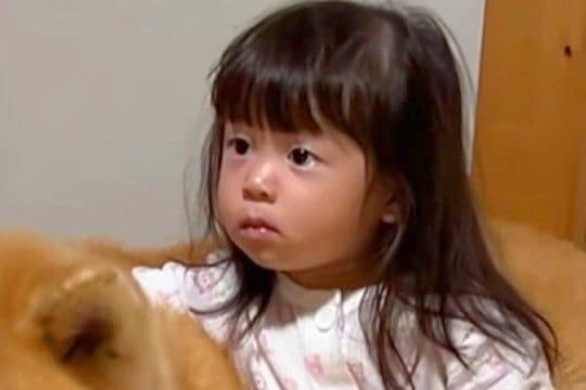 秋田犬をお迎えして、たったの4日後→娘が打ち解けすぎて…出会ったばかりと思えない『まさかの光景』が93万再生「馴染んでて草」「相棒感ｗ」