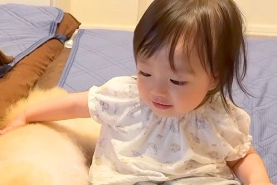 眠くなって布団に移動した犬→『1歳の女の子』が近づいて…愛に溢れた『寝かしつけの光景』が15万再生「最高に可愛い」「仲良しが伝わる」