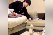 息子に『おにいちゃん、あそんで』とおねだりする赤ちゃん犬→ソファに登れずにいたら…あまりにも素敵な『神対応』が552万再生「平和な世界」