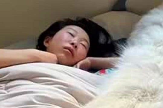 朝、尿意で目覚めた男性→トイレから戻ると、自分が寝ていた場所に…完全に居場所がなくなった光景が64万再生「サイズが人で草」「幸せそうｗ」