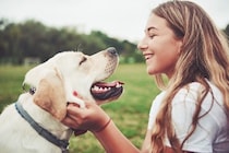 犬が『褒められた』ときにみせる行動4つ　嬉しがっているサインや絆を深める接し方のコツまで