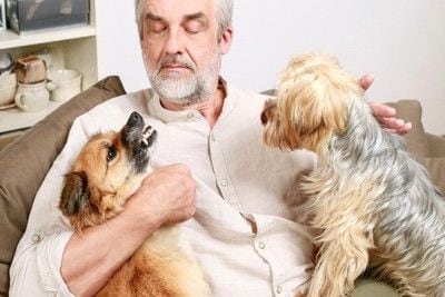 白髪の人、2匹の犬