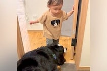 トイレについてきた大型犬と赤ちゃん→突然『謎の言葉』を喋った次の瞬間…まさかの『完全に従えている光景』が100万再生「通じ合ってて凄い」