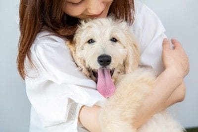飼い主に抱っこされて嬉しそうな犬