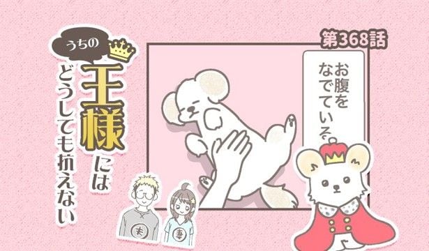 うちの王様にはどうしても抗えない【第368話】「これも歳のせいなのか・・？」