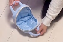 『バッグに入ればお出かけできる』と思っている犬→小さなポーチを開いてみた結果…サイズ感がバグっている『まさかの光景』に154万再生の反響