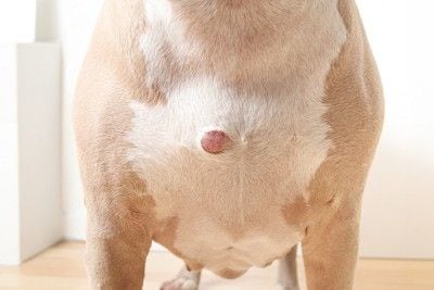 胸元、赤いしこり