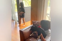 4年前から『犬を飼いたい』と言っていた娘→内緒で『赤ちゃん犬』を飼った結果…対面した瞬間の『100点満点のリアクション』に思わず感動