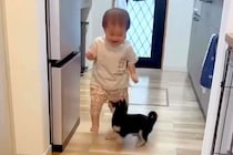 小さな男の子と赤ちゃん犬の初対面→お互いに喜び『追いかけっこ』を始めて…あまりにも尊い光景が84万再生「可愛いの渋滞」「なんて幸せなの」