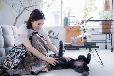 犬と遊ぶ女性