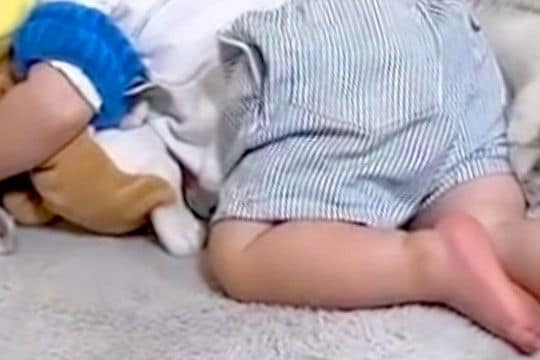 『1歳の息子が静かだな』と思い、見に行った結果→すやすやと眠っていて、枕元に…まさかの『優しい世界』が578万再生「ちょっと困ってるｗ」