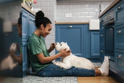 キッチンで触れ合う女性と犬