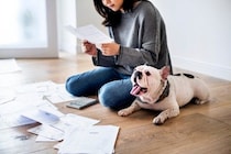 『犬を飼うのに向いていない人』の特徴5選　ワンコを迎える前に必ず知っておくべきこととは？