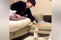 息子に『おにいちゃん、あそんで』とおねだりする赤ちゃん犬→ソファに登れずにいたら…あまりにも素敵な『神対応』が552万再生「平和な世界」