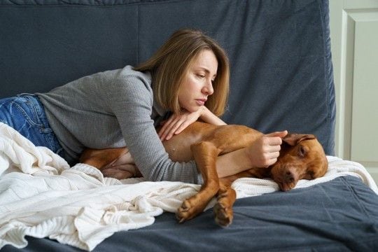 犬が『お腹が痛い』ときにみせるサイン4選 腹痛の原因や危険な症状まで