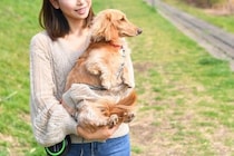 犬との暮らしで分かる『人生において大切なこと』4つ　何気ない日常にある喜びとは？