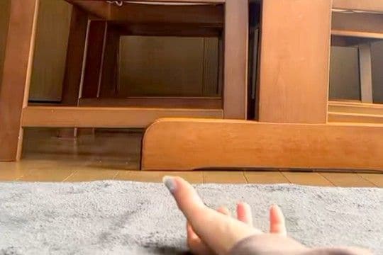 『おいで』と手を出すと、撫でてもらおうと近づいてくる犬→あまりにも『子熊すぎるビジュアル』が160万再生「もこもこ」「可愛すぎ泣きそう」