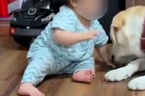 赤ちゃんが『自分より大きな大型犬』と暮らした結果→完全に飼いならして…本当の兄妹のような『微笑ましい光景』に反響「優しい世界」「癒やし」
