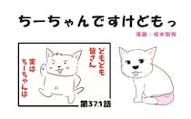 ちーちゃんですけどもっ【第371話】「皆さんへ」