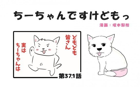 ちーちゃんですけどもっ【第371話】「皆さんへ」