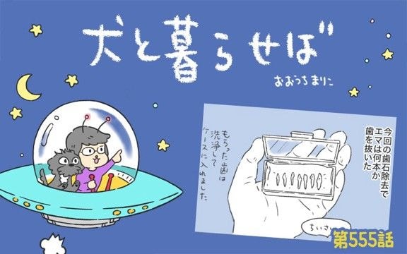 犬と暮らせば【第555話】「エマの抜歯」