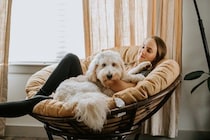 『気分屋な犬』がみせる行動5選　冷めやすい性格のワンコがみせるサインや関係性を良好にする秘訣まで