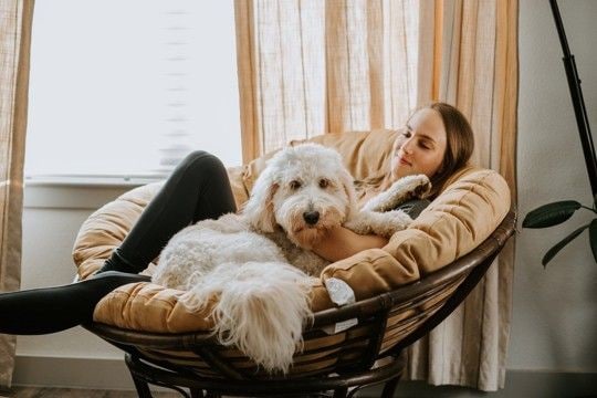『気分屋な犬』がみせる行動5選　冷めやすい性格のワンコがみせるサインや関係性を良好にする秘訣まで