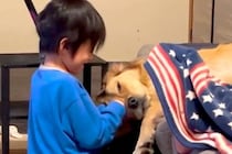 小さい頃、大型犬に嫌われていた男の子→諦めずに寄り添い続けた結果…心が浄化される『尊い光景』が218万再生「泣ける」「仲良しが溢れてる」