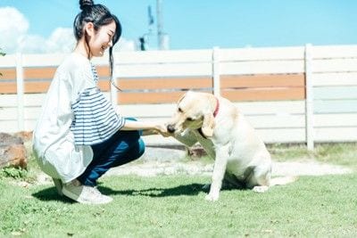食べ物を与える女性