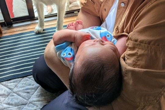 実家に連れて帰った赤ちゃんが泣いた結果→犬が『大丈夫なん?』と近づいて…様々な感情が詰まった『表情』に4万いいね「たまらん」「可愛い一枚」