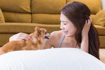 女性と犬