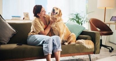 ソファの上で笑顔の犬と女性