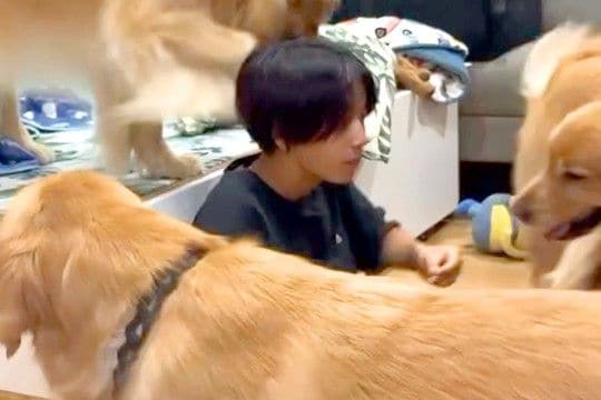 数ヶ月ぶりに『大好きなお兄ちゃん』と再会した大型犬たち→感情が爆発して…あまりにも激しい『熱烈歓迎』に反響「愛が止まらない」「可愛い」
