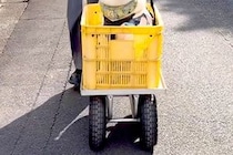 お盆休みで『おじいちゃんおばあちゃんの家』に来た犬→帰り際には『台車』に乗り…幸せ過ぎる『VIP待遇』が27万再生「お殿様」「ご満悦で草」