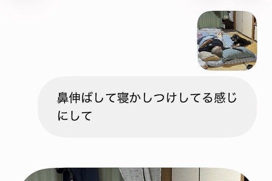 AIで『犬の鼻を伸ばすこと』にハマった結果→おじいちゃんと犬の写真で『鼻伸ばして寝かしつけさせて』とお願いしたら…衝撃の光景に5万いいね
