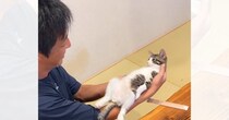 旦那が子猫のことを抱っこすると……思わず笑顔になる『可愛すぎる光景』が250万再生「手のひらから何か出てるのかな」「ニヤニヤが止まらん」
