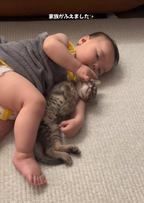 猫を抱きしめる赤ちゃん