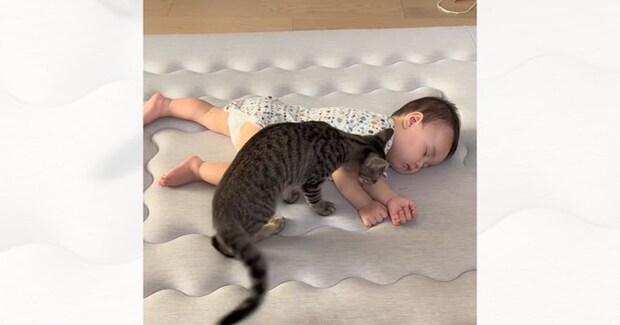 お昼寝している赤ちゃんのそばで…隣にやって来た猫がとった『まさかの行動』が尊すぎると210万再生「なんか涙出てきた」「やばい泣ける」